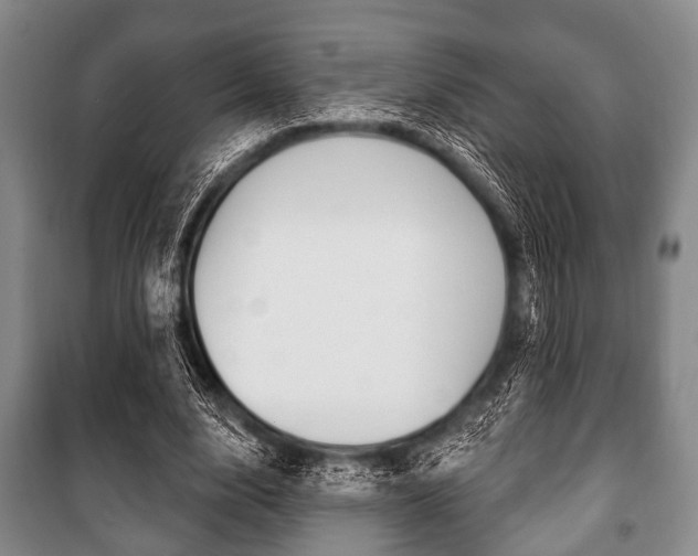 X0000101200632200806270830