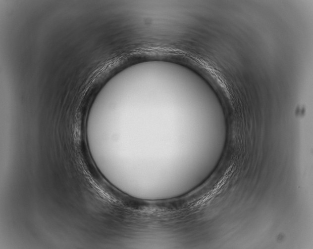 X0000101200633200806270830