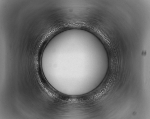 X0000101200634200806270830