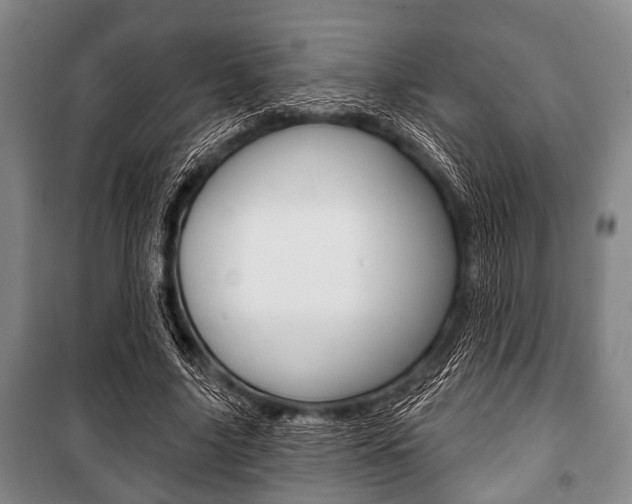X0000101200635200806270830