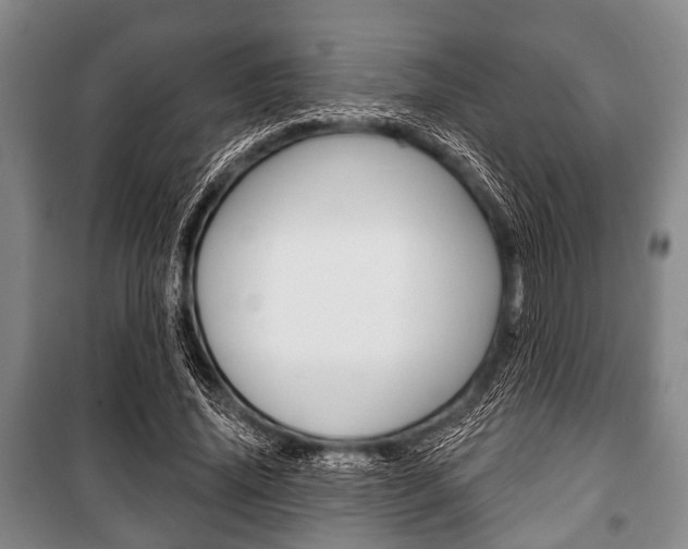 X0000101200636200806270830