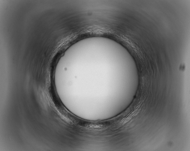 X0000101200638200806270830