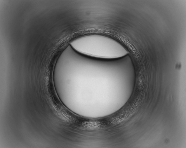 X0000101200639200806270830