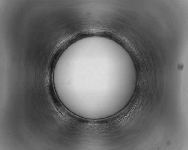 X0000101200640200806270830