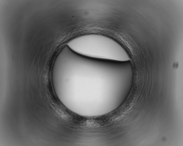 X0000101200641200806270830