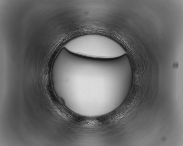 X0000101200642200806270830
