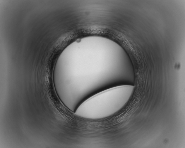 X0000101200643200806270831