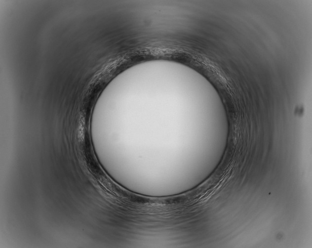 X0000101200644200806270831