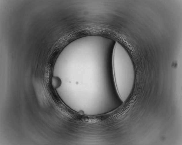 X0000101200645200806270831