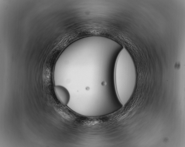 X0000101200646200806270831