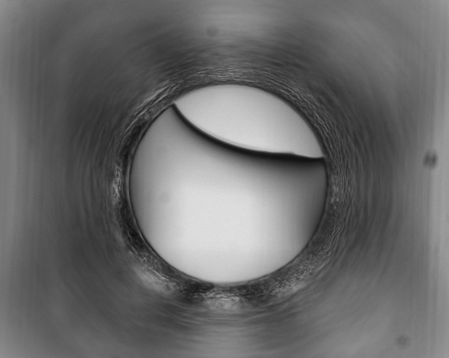 X0000101200648200806270831