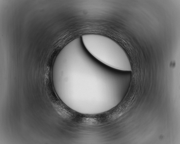 X0000101200649200806270831