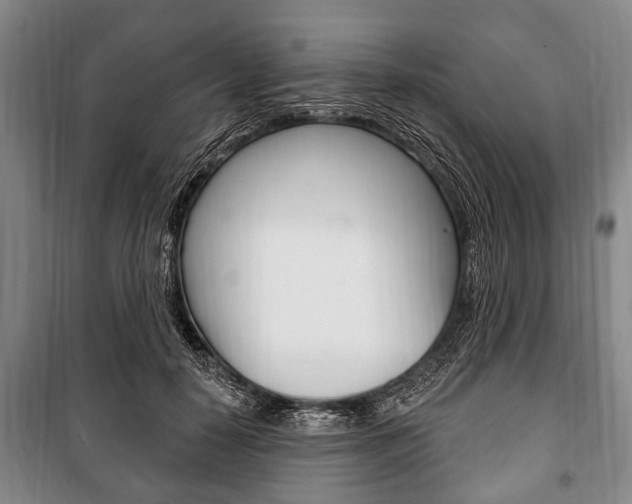 X0000101200650200806270831