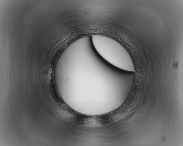 X0000101200652200806270831