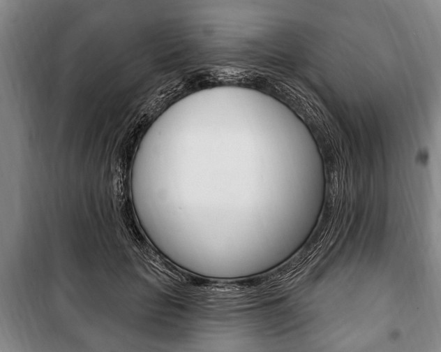 X0000101200653200806270831