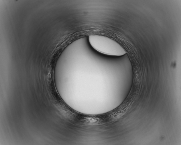 X0000101200654200806270831