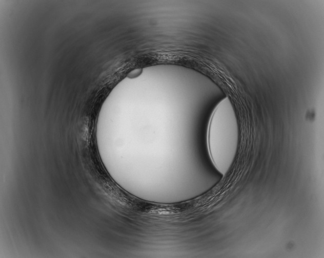 X0000101200655200806270831