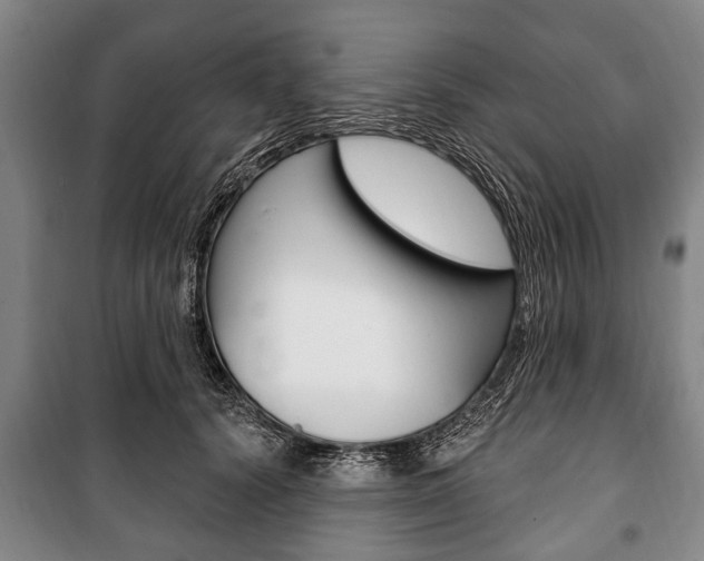 X0000101200656200806270831