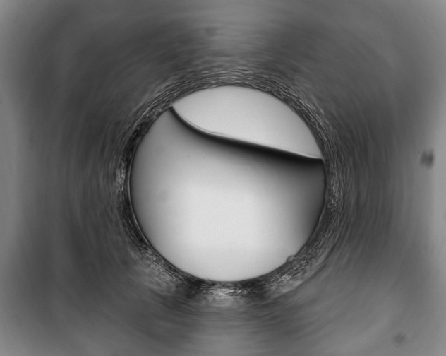 X0000101200657200806270831