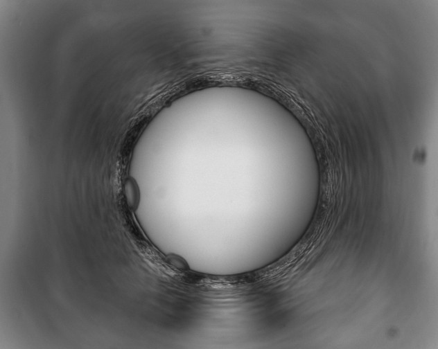 X0000101200658200806270831
