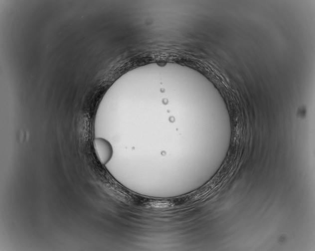 X0000101200659200806270831