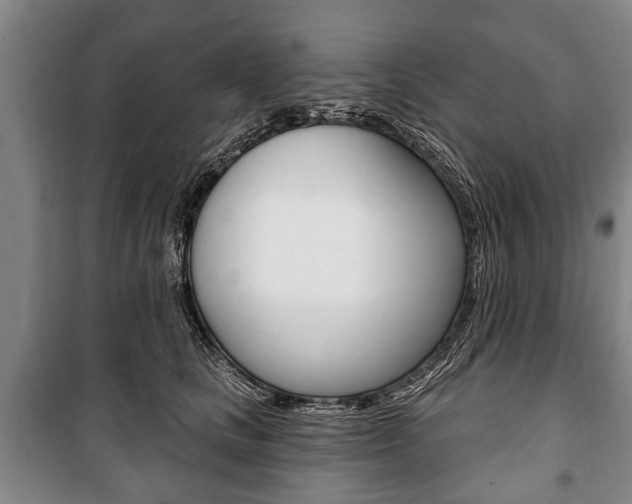 X0000101200661200806270831