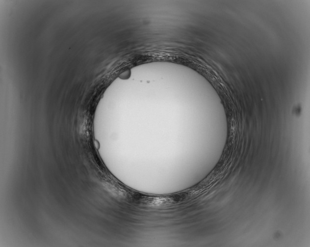 X0000101200663200806270831