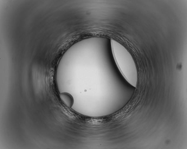 X0000101200664200806270831