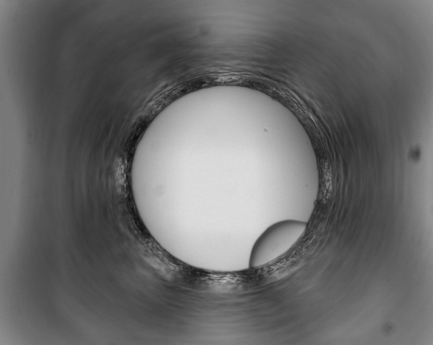 X0000101200667200806270831
