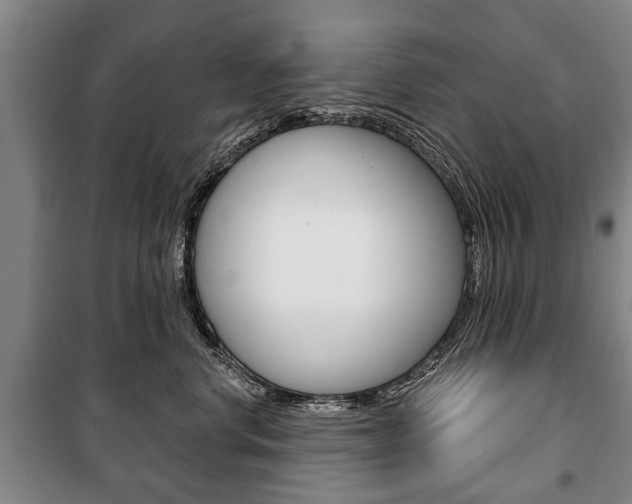 X0000101200668200806270831