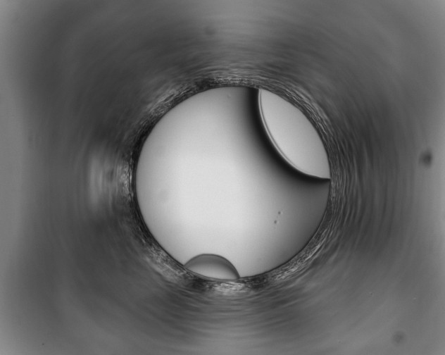 X0000101200669200806270831