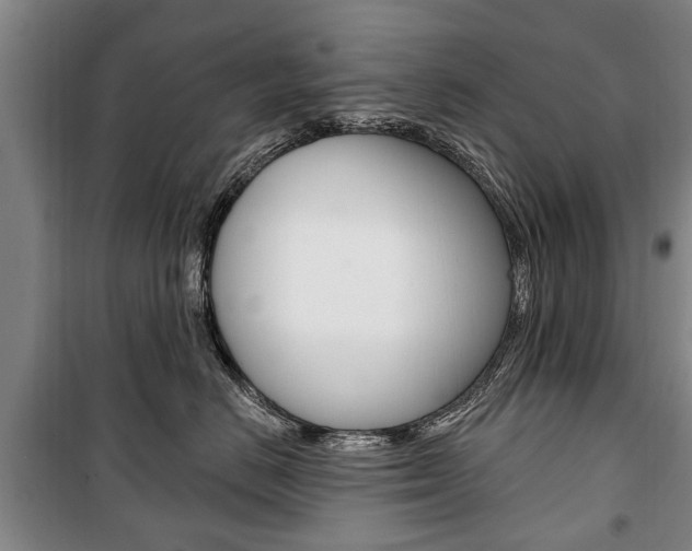 X0000101200670200806270831