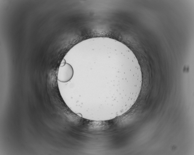 X0000101200672200806270831