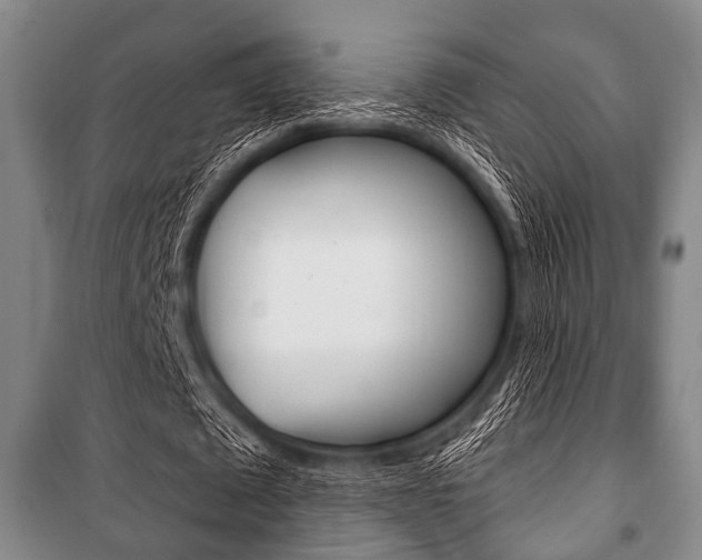 X0000101200673200806270830