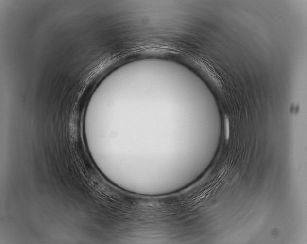 X0000101200675200806270830