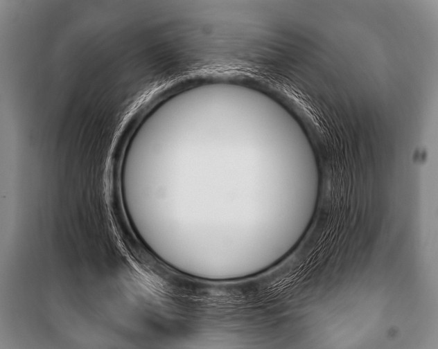 X0000101200678200806270830