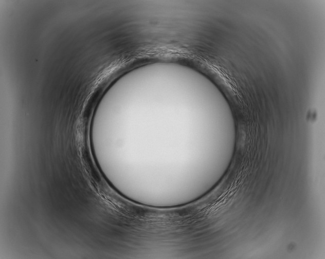 X0000101200679200806270830