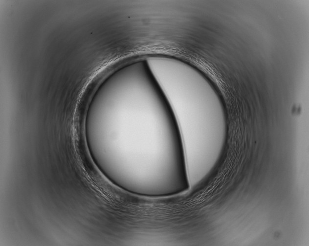 X0000101200680200806270830