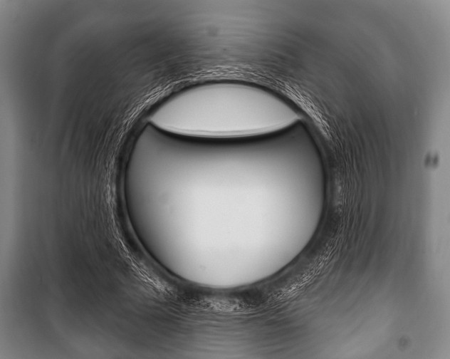 X0000101200681200806270830