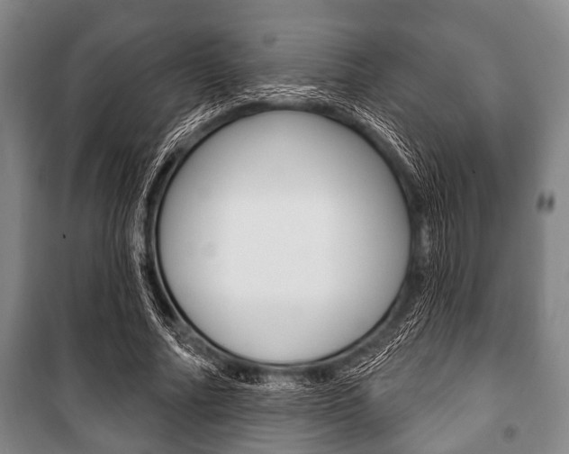 X0000101200682200806270830