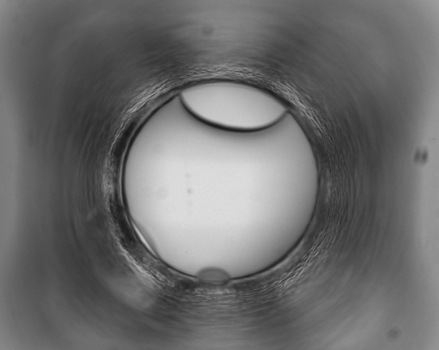 X0000101200683200806270830