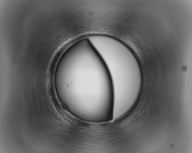 X0000101200684200806270830