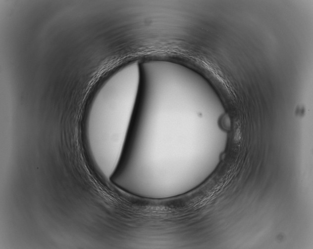 X0000101200685200806270830