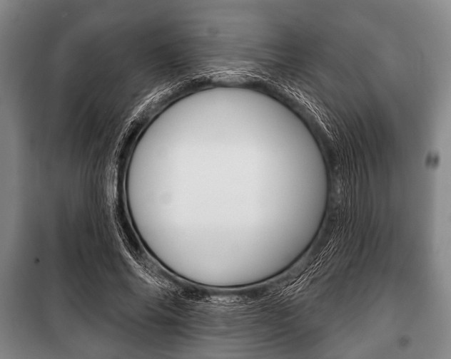 X0000101200686200806270830