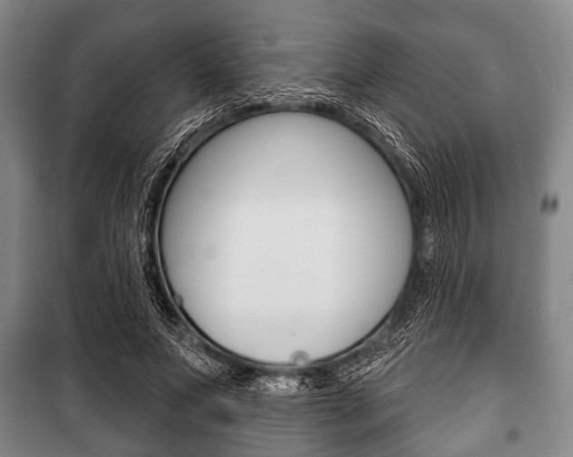X0000101200687200806270830