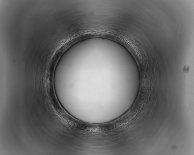 X0000101200688200806270830