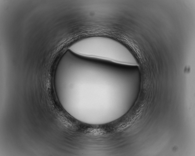 X0000101200689200806270830