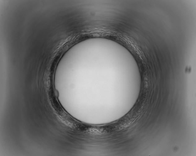 X0000101200690200806270830