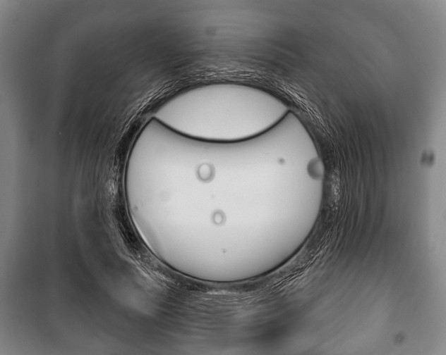 X0000101200691200806270830