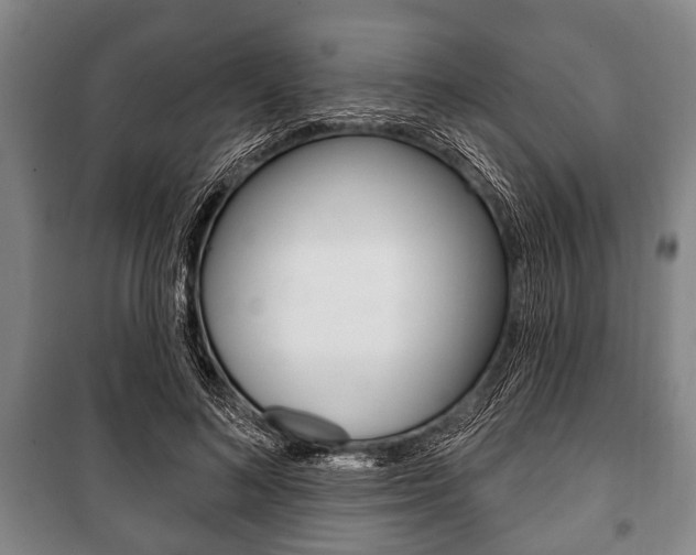 X0000101200692200806270830